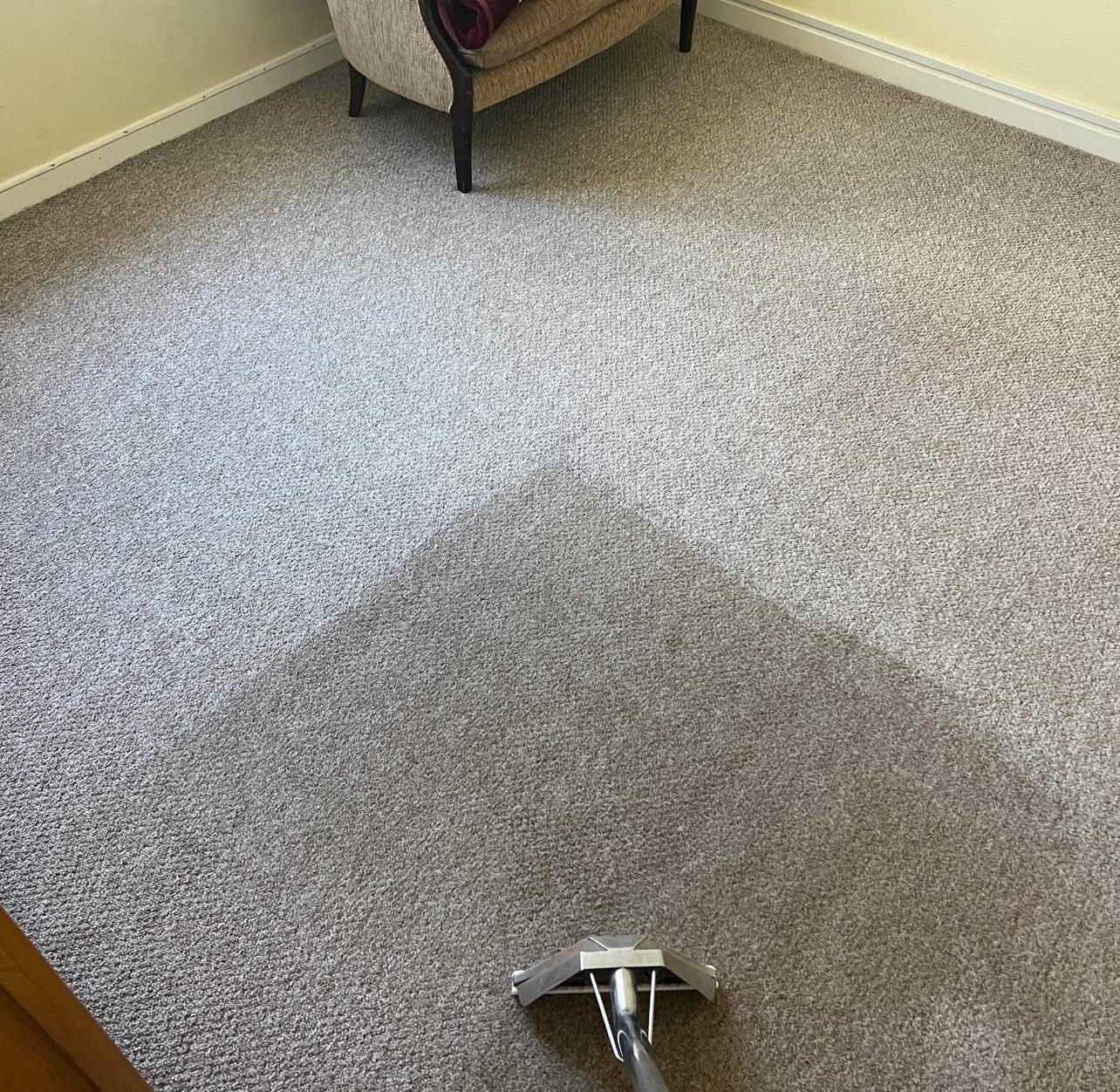 Carpet cleaning in progress