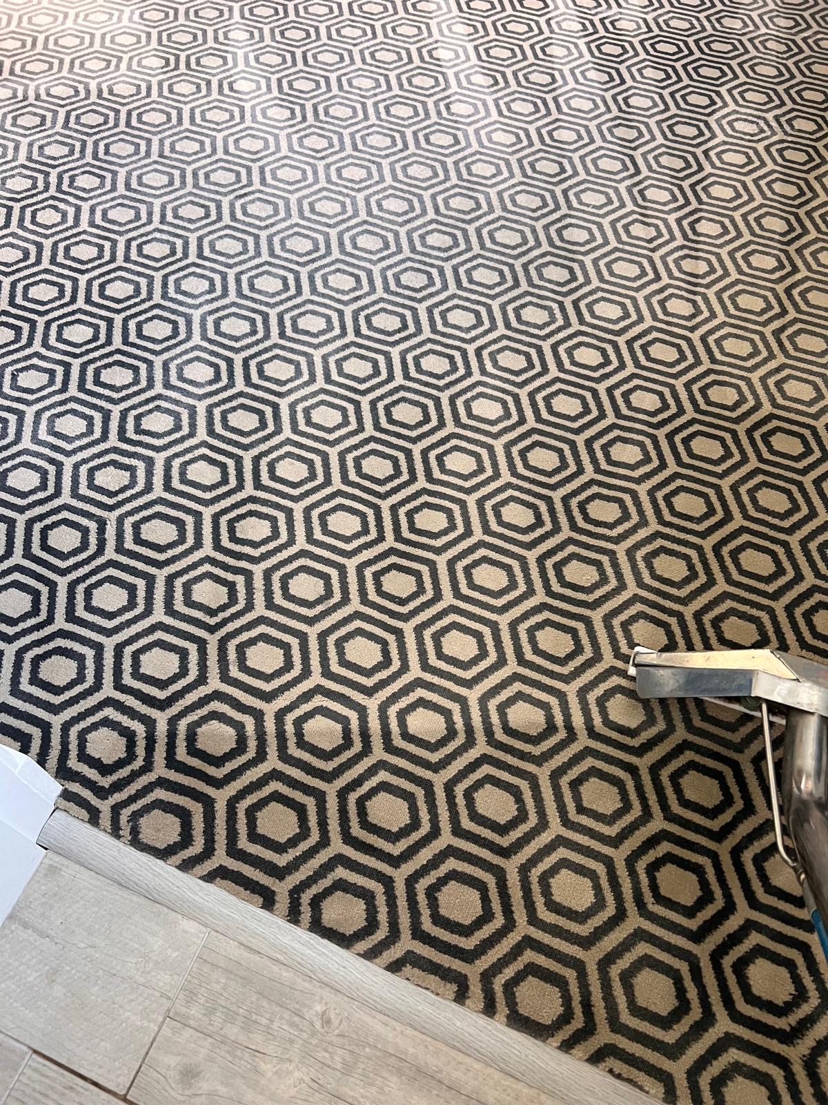 Patterned carpet being cleaned